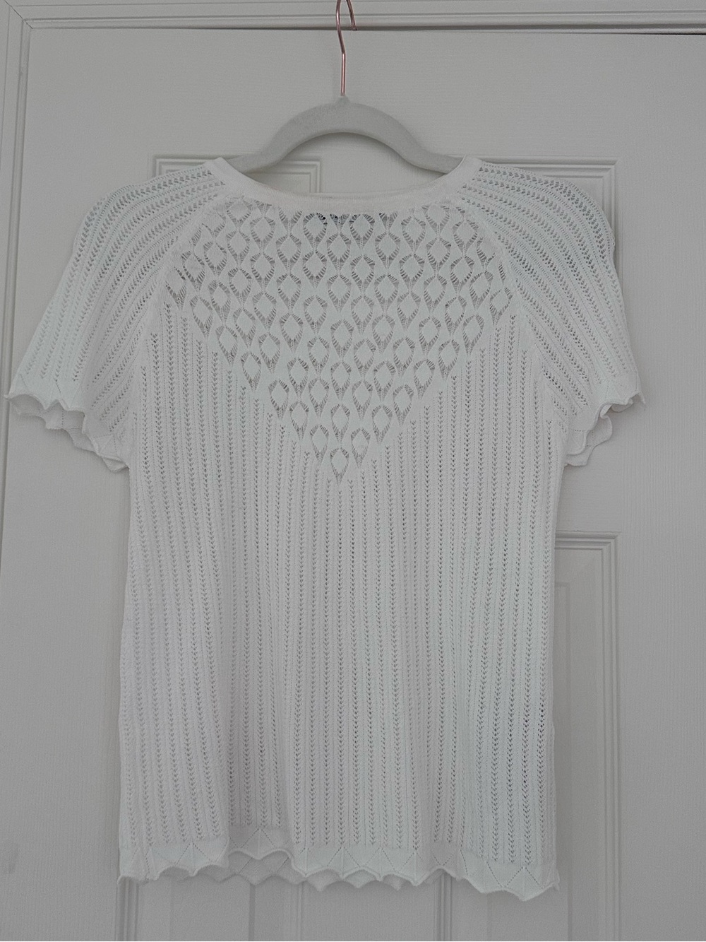 Zara dainty sweater short sleeve top